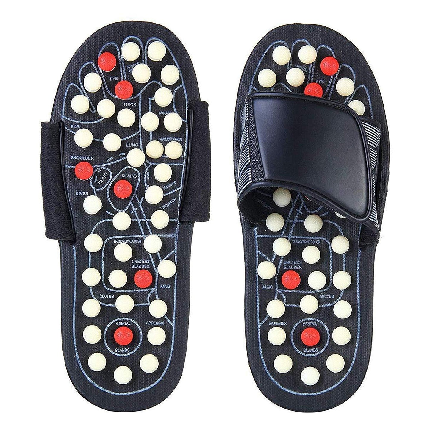 REDYTO Spring Acupressure & Magnetic Therapy Accu Yoga Paduka