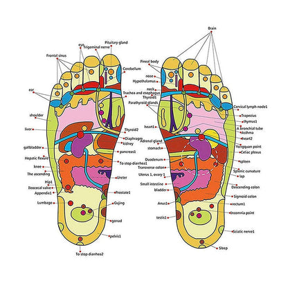 REDYTO Spring Acupressure & Magnetic Therapy Accu Yoga Paduka